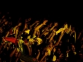 Antilliaanse Feesten. © Visit Flanders