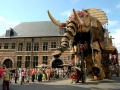 Zomer van Antwerpen. © Antwerpen Toerisme & Congres