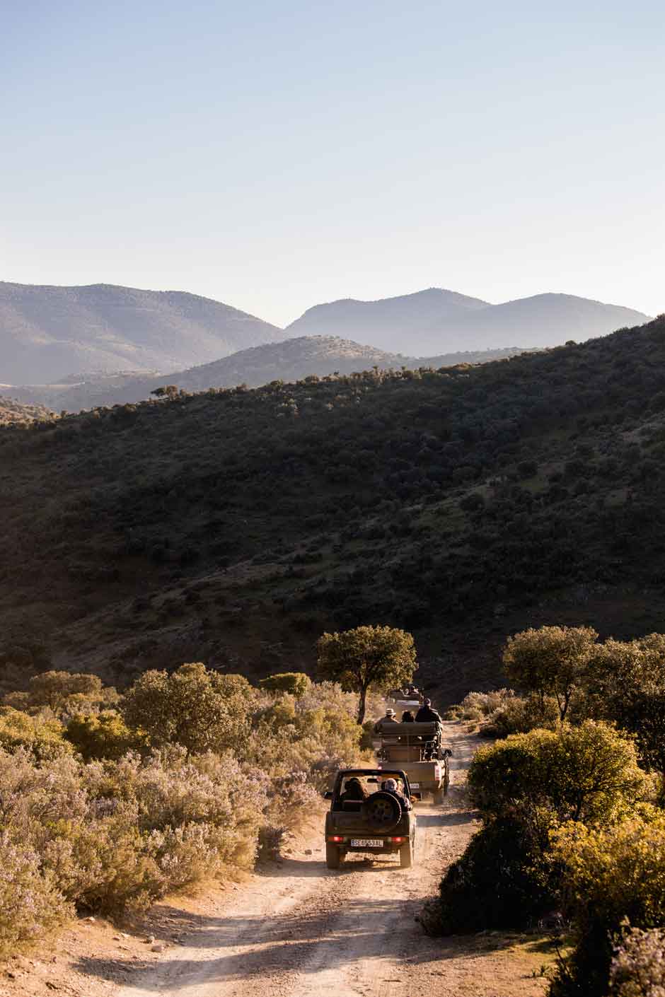 Safari en la Nava del Barranco