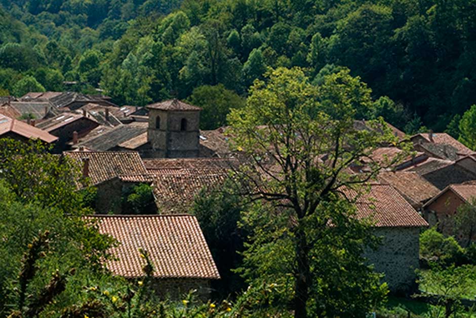 Bárcena Mayor