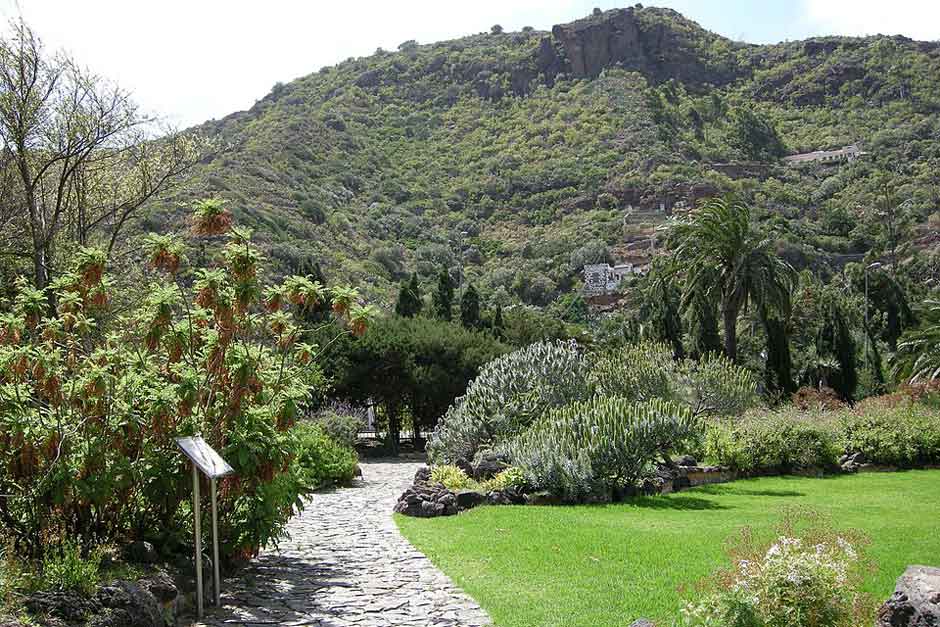 8. Jardín Botánico Canario