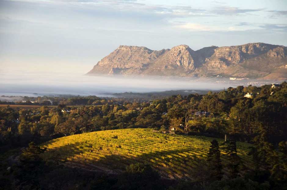 La Tierra de Los Vinos