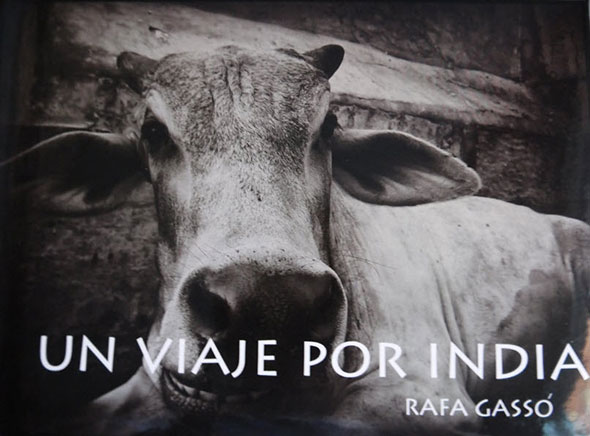 Un viaje por India, un libro de Rafa Gassó