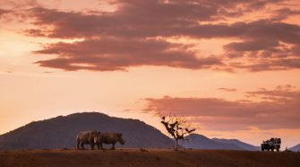Visitar el Parque Nacional Kruger de Sudáfrica | Tu Gran Viaje