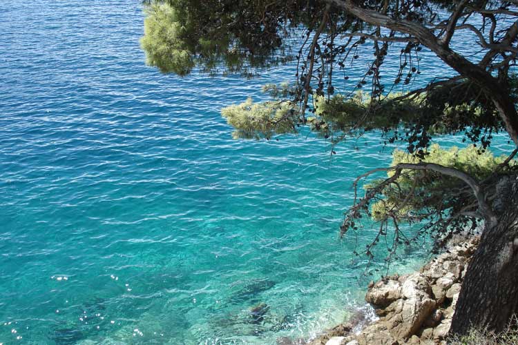 Mediterráneo en Dubrovnik. Foto © Tu Gran Viaje