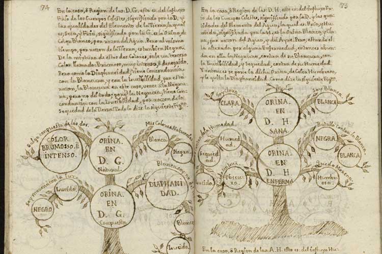 Manuscrito de medicina Liliana escrito por Juan de Santa Gertrudis, siglo XVIIl, autor también de un libro de viajes por Colombia. Cortesía de la Biblioteca Nacional de España