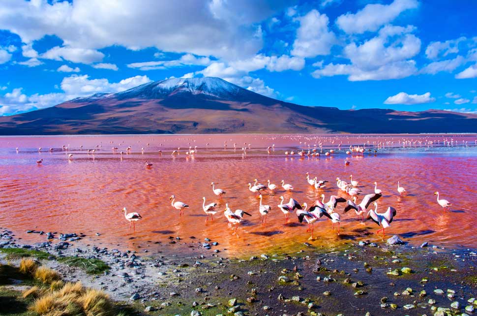 Tu Gran Viaje a la laguna colorada de Bolivia