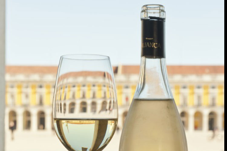 Todo sobre los vinos de Lisboa en Tu Gran Viaje