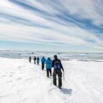 Nuevos cruceros de Hurtigruten para viajar a la Antártida | Tu Gran Viaje