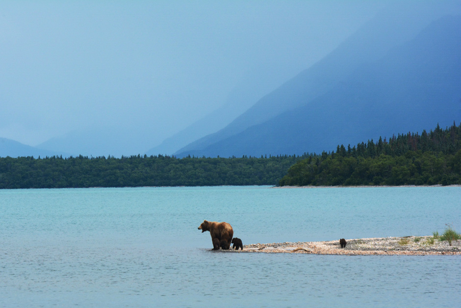 Viajar a Alaska, la última frontera | Tu Gran Viaje