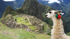 ofertas para Viajar a Perú con Logitravel | Tu gran Viaje