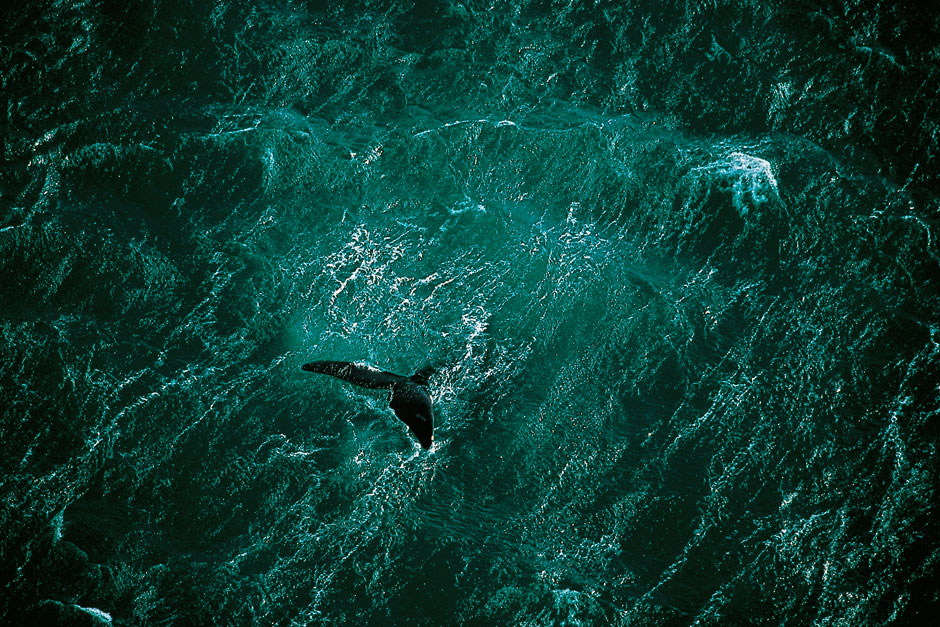 Planeta Océano: una conversación con Yann-Arthus Bertrand, el hombre que ama el planeta | Planet Ocean © Yann-Arthus Bertrand | Tu Gran Viaje