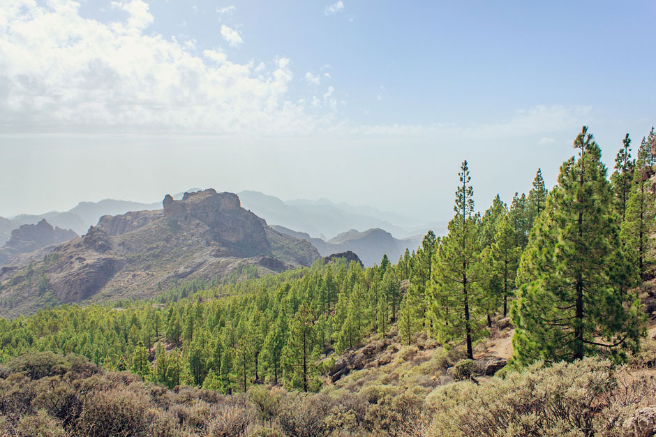 Razones por las que debes viajar a Gran Canaria, la isla infinita