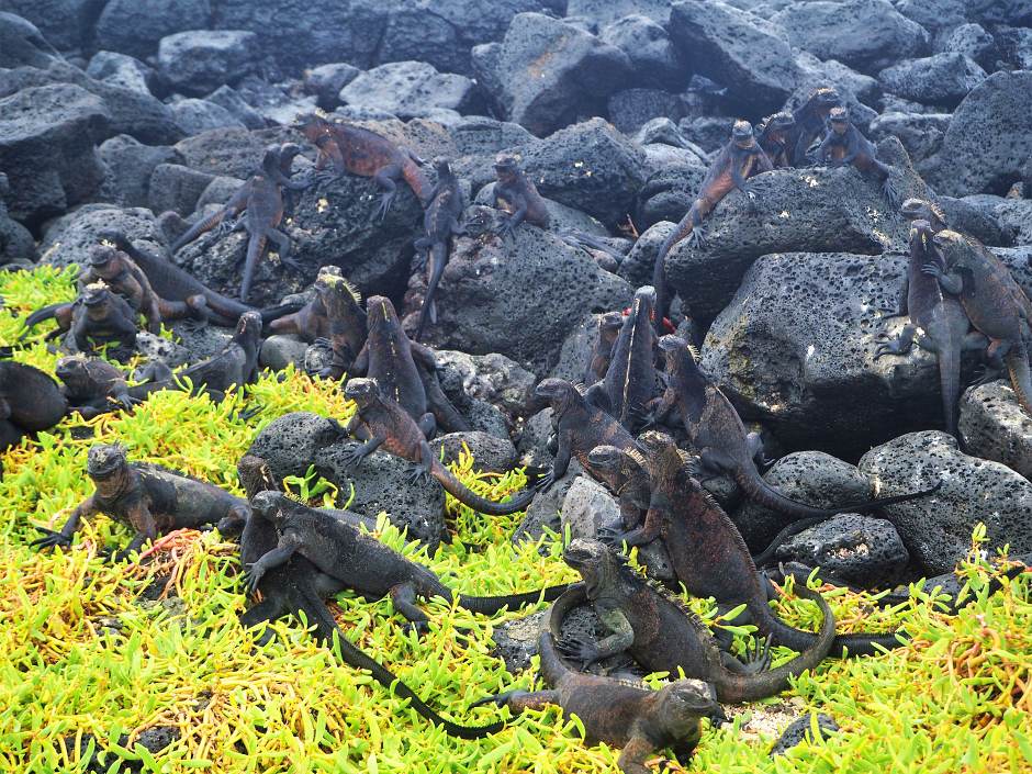 Todo lo que debes saber si vas a viajar a Islas Galápagos | Tu Gran Viaje