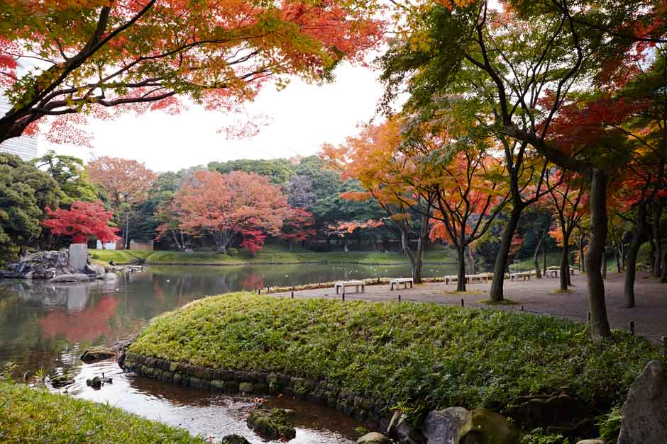 Los espectaculares lugares que visitar en Tokio en el otoño | Tu Gran Viaje