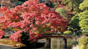 Los espectaculares lugares que visitar en Tokio en el otoño | Tu Gran Viaje