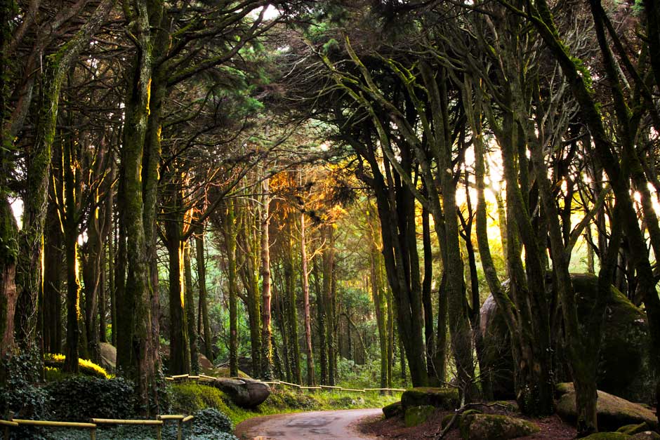 Parque Natural Sintra-Cascais. © Turismo de Portugal