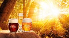 Se celebra el Día de la Industria Cervecera Checa | Tu Gran Viaje