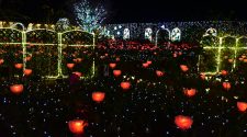 Cómo se celebra la Navidad y Año Nuevo en Japón | Tu Gran Viaje