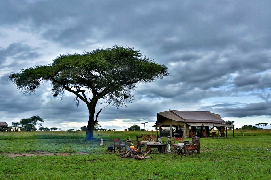 Navidad en el Serengeti con el Safari “El Sueño de África Premium” de Ratpanat | Tu Gran Viaje