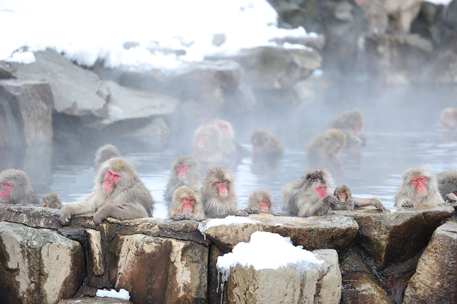 Los mejores planes para viajar a Japón en invierno | Tu Gran Viaje