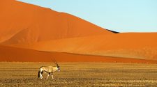 Oferta Viajar a Namibia | Tu Gran Viaje | Travelzoo | Safari fotografico Namibia