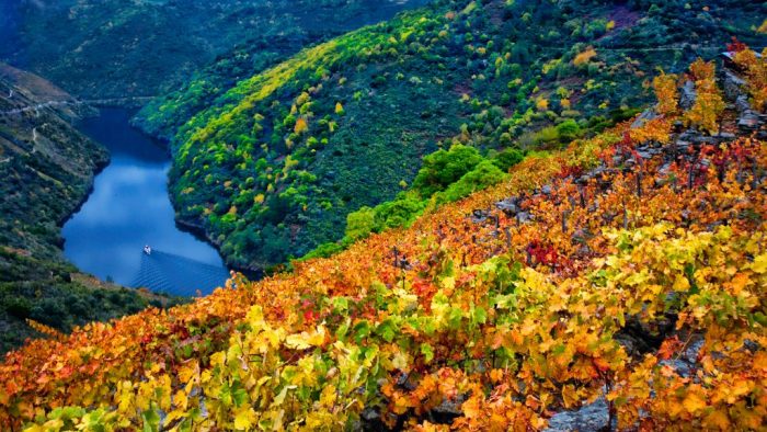 Viticultura heroica en la Ribeira Sacra de Galicia | Tu Gran Viaje