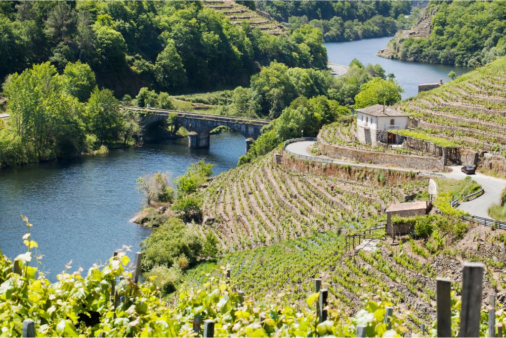 Viticultura heroica en la Ribeira Sacra de Galicia | Tu Gran Viaje