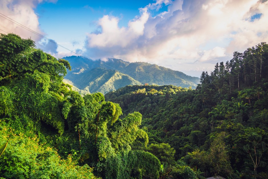 The Blue Mountains in Jamaica, Caribbean, Middle America